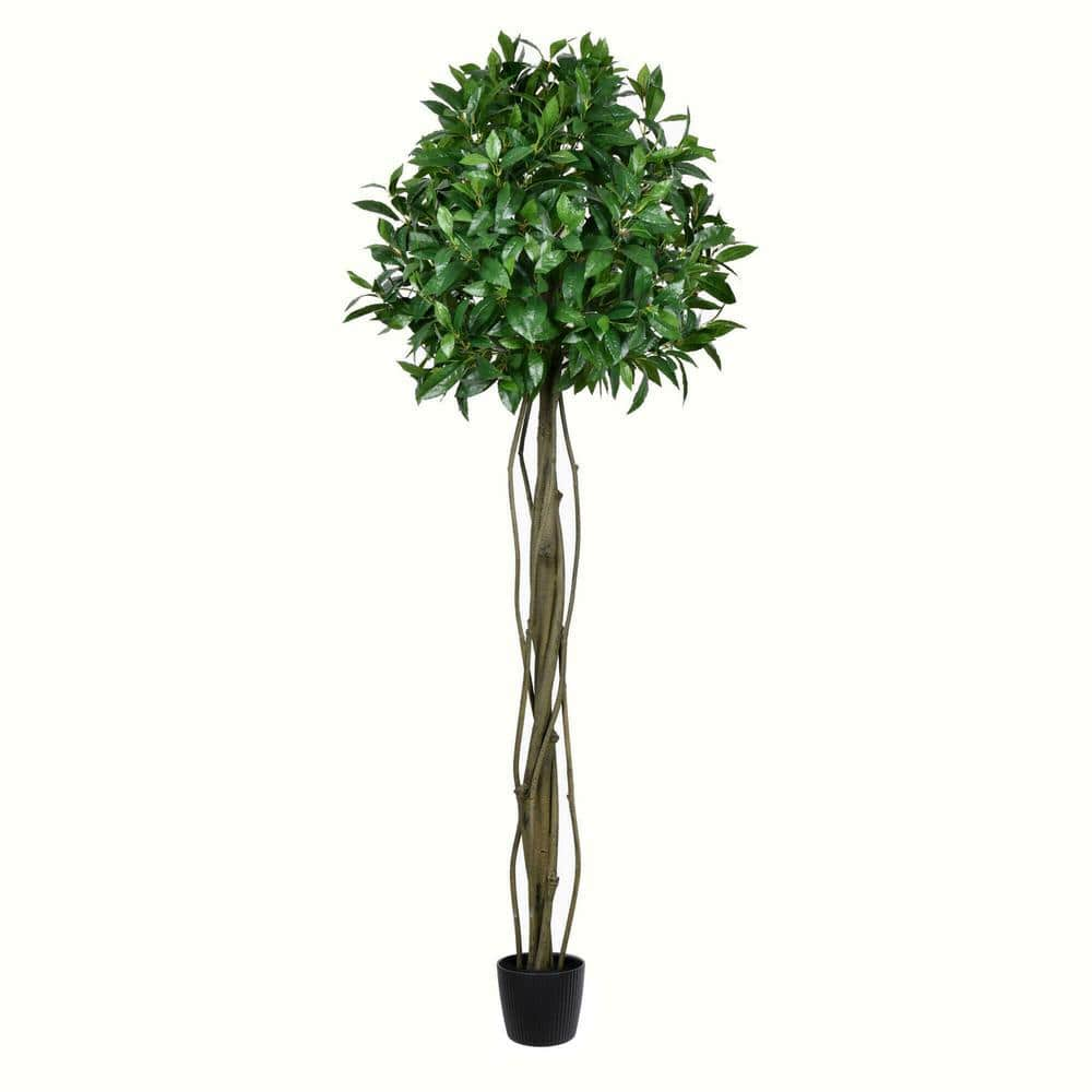 Vickerman 6 ft Artificial Potted Bay Leaf Topiary