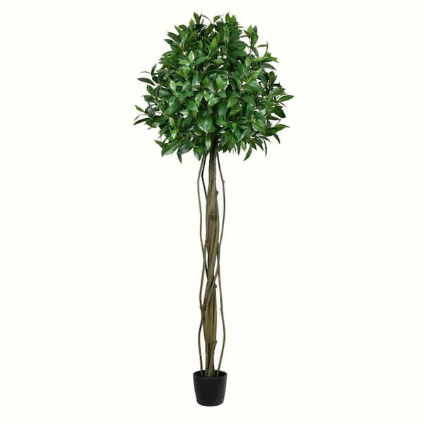 Vickerman 6 ft Artificial Potted Bay Leaf Topiary