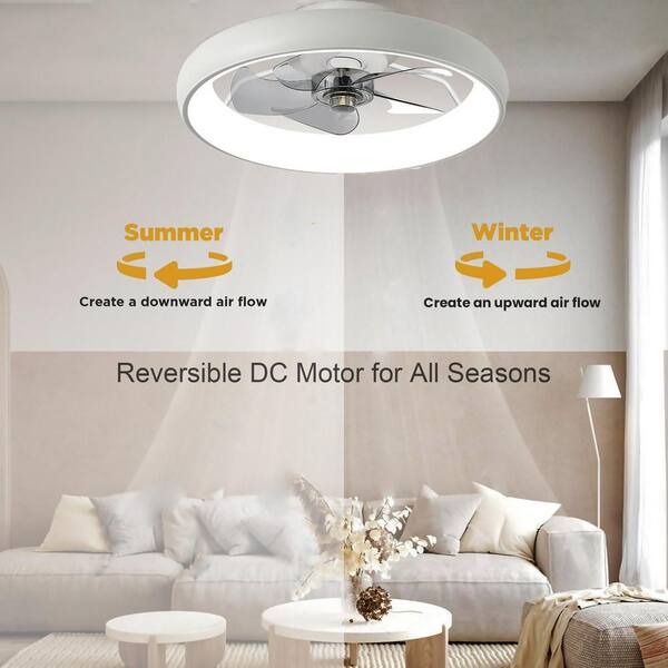 EAQUIL 22 in. Indoor White Ceiling Fan with Light Flush Mount