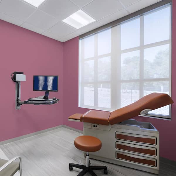 1 gal. #M120-7 Raspberry Crush Dead Flat Interior Paint