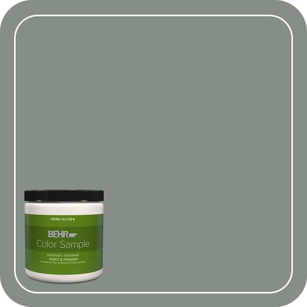 BEHR PREMIUM PLUS 8 oz. #ECC-49-3 Forest Moss Semi-Gloss Interior/Exterior Paint & Primer Color Sample