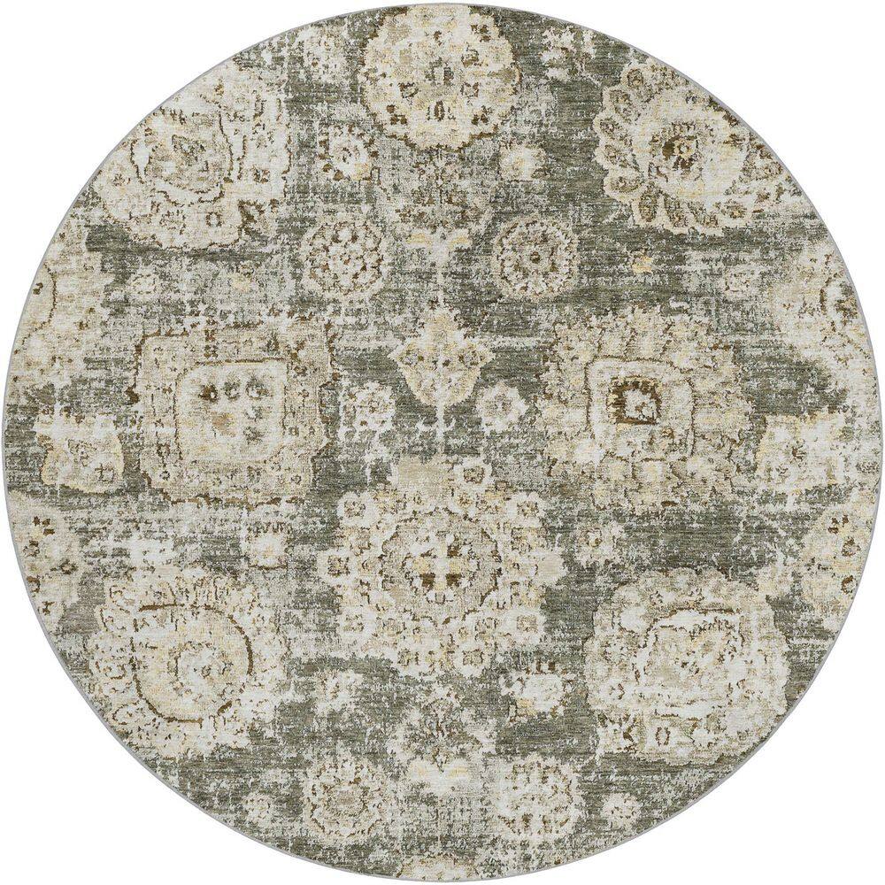 Dream Shag Premium Machine Washable Abstract ADS634 Taupe 8 ft. x 8 ft. Round Rug price history on PriceWatchPro