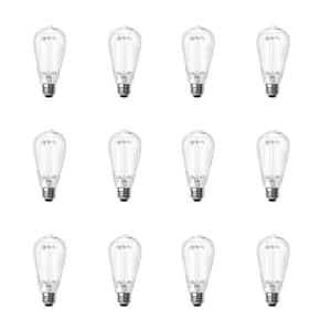 100-Watt Equivalent ST19 Dimmable Straight Filament Clear Glass E26 Vintage Edison LED Light Bulb, Daylight (12-Pack)
