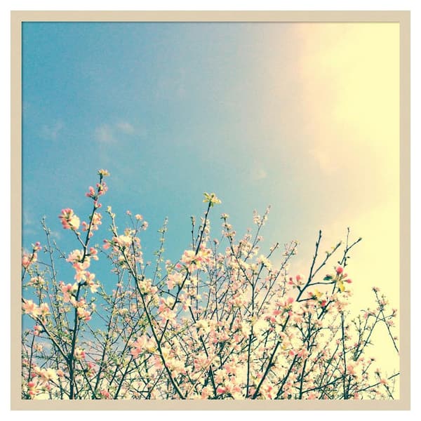 Amanti Art Springing Pink I by Olivia Joy 33 in. W x 33 in. H. Wood Framed Wall Art Print Framed in Brown