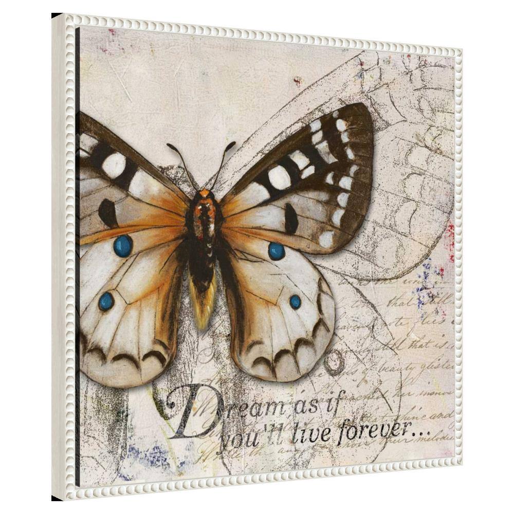 22"x22" Living your Dreams I Butterfly by Patricia Pinto Framed Canvas Wall Art Print White - Amanti Art: Modern Style, Polystyrene Frame