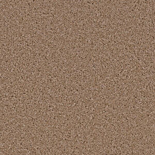 Home Decorators Collection Carpet Sample - Kalamazoo II - Color Macon Texture 8 in. x 8 in.