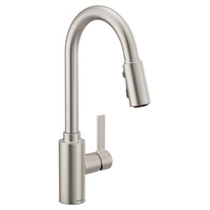 Genta LX Single-Handle Pull-Down Sprayer Kitchen Faucet with Reflex in Spot Resist Stainless