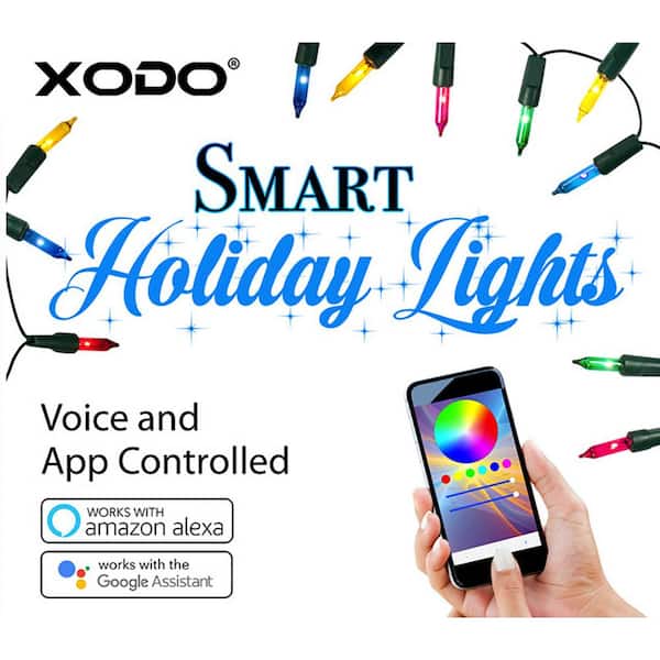Xodo Smart Christmas Lights Outdoor/Indoor 35 ft. Plug-In Globe Bulb LED String  Light Compatible with Alexa/Google Assistant DL1 - The Home Depot