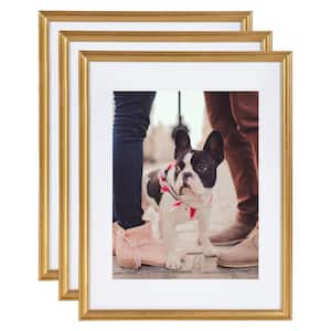 Adlynn 14 in. x 18 in. matted to 11 in. x 14 in. Gold Picture Frames (Set of 3)