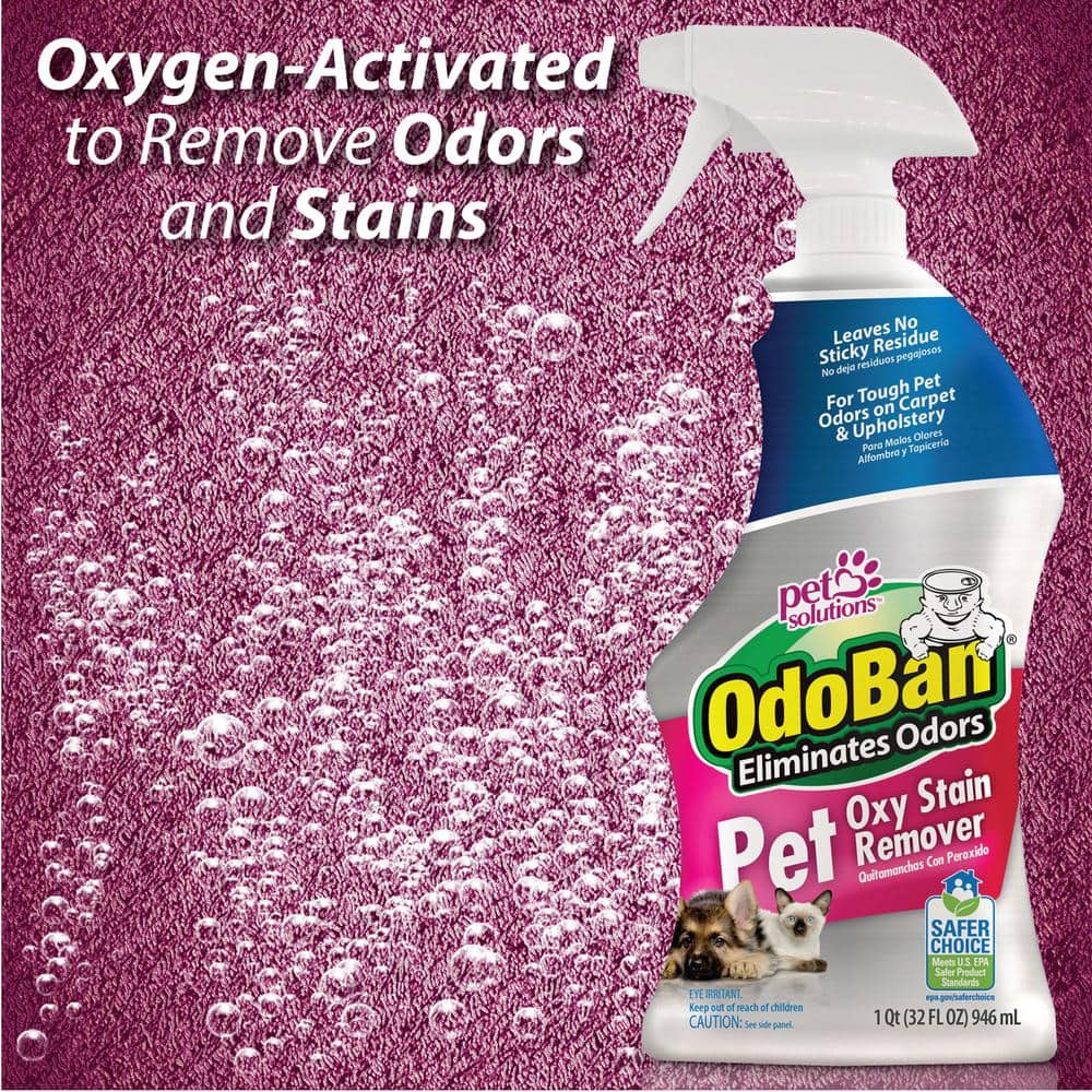 Oxy Stain Remover Spray for Pet Stains, 32 oz