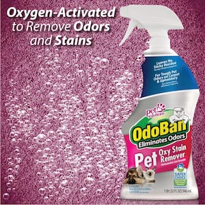 32 oz. Pet Oxy Stain Remover, Oxygen Activated Hydrogen Peroxide Pet Stain Remover for Carpet and Fabric (3-Pack)