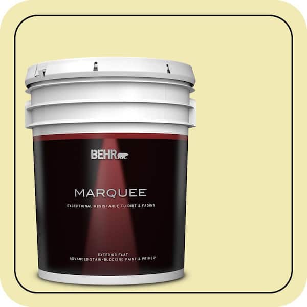BEHR MARQUEE 5 gal. #P340-2 Invigorating Flat Exterior Paint & Primer