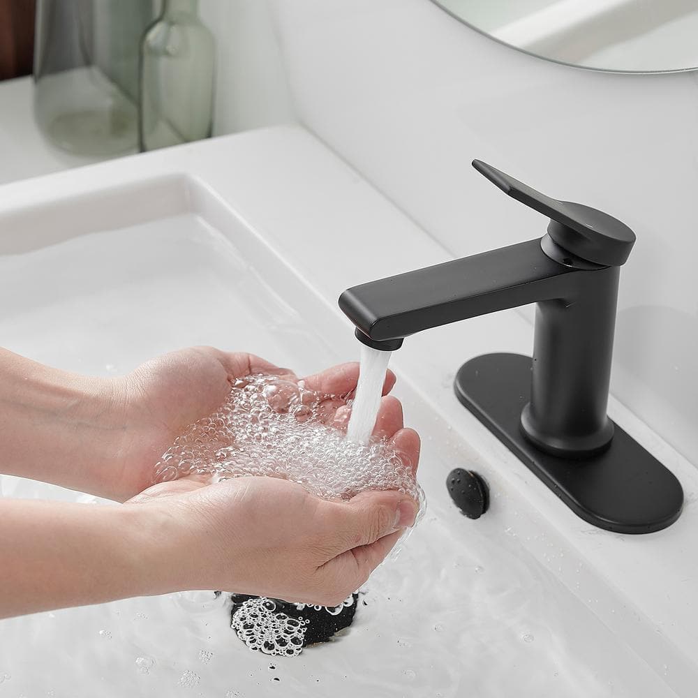 Matte Black Single-Handle Bathroom Faucet with Nickel Finish
