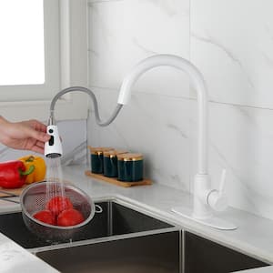 Single-Handle Pull Down Sprayer Kitchen Faucet with Power Clean in White