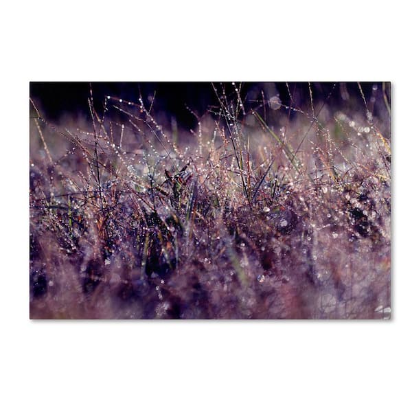Trademark Fine Art 22 in. x 32 in. "Purple Rain" by Beata Czyzowska Young Printed Canvas Wall Art