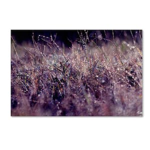 Trademark Fine Art 16 in. x 24 in. Brilliant Fall