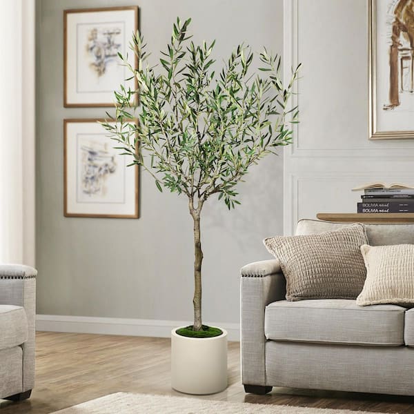 gardenia indoor plant African Gardenia For Sale – Logee's Plants main image 1