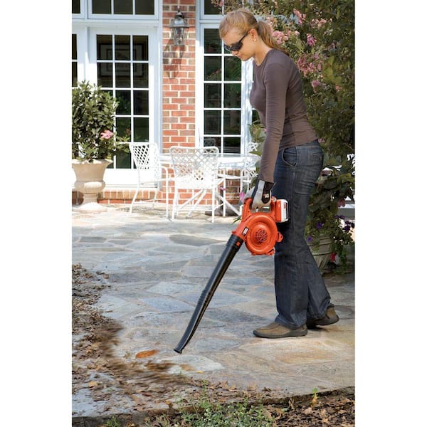 https://images.thdstatic.com/productImages/b07bf02a-75ce-48cf-8952-34b812f49691/svn/black-decker-cordless-leaf-blowers-lsw36-76_600.jpg