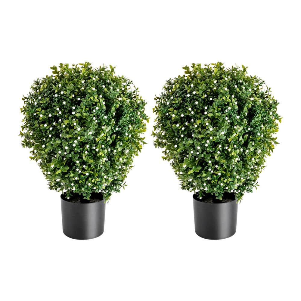 Holiday Storage – The Potted Boxwood