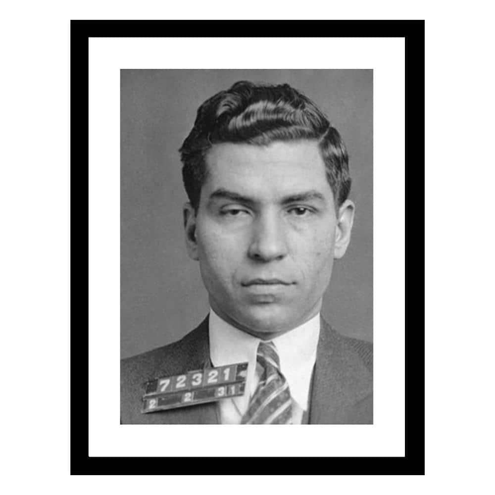 "Charles ""Lucky"" Luciano 1936 Mugshot by Unknown 1-Piece Framed Graphic Print Abstract Poster Art Print 18 in. x 14 in." price history on PriceWatchPro