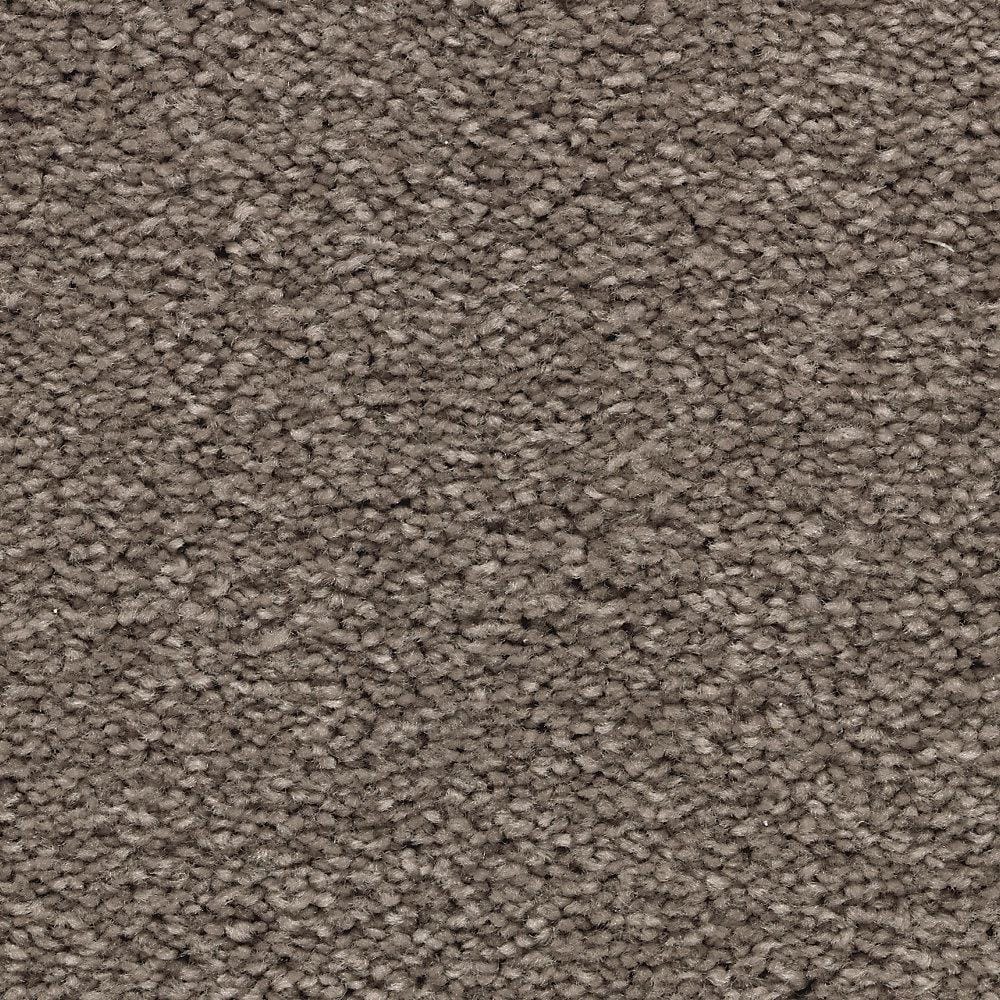8 in. x 8 in. Texture Carpet Sample - Unblemished II -Color Masterpiece price history on PriceWatchPro