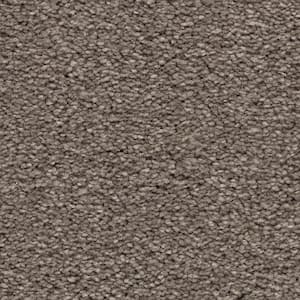 Unblemished I  - Masterpiece - Gray 45 oz. Triexta Texture Installed Carpet