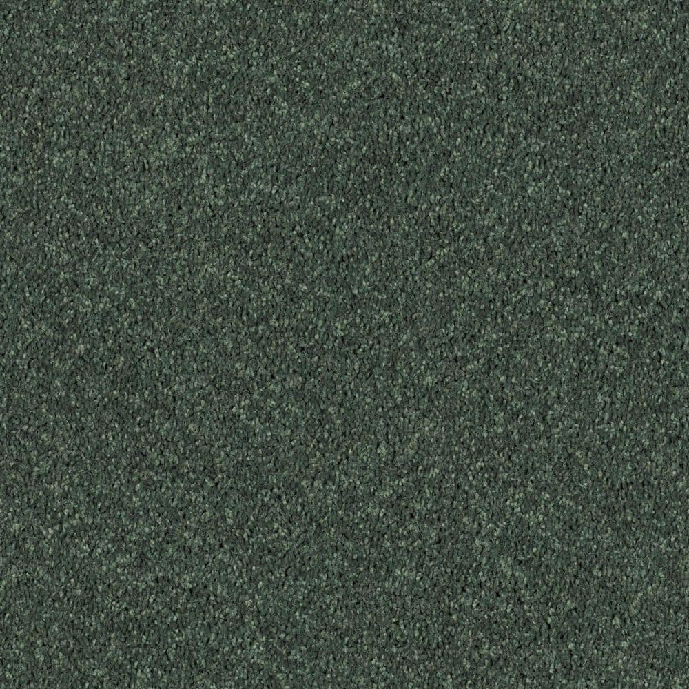 8 in. x 8 in. Texture Carpet Sample - Cottage Comforts - Color Emerald Bay price history on PriceWatchPro