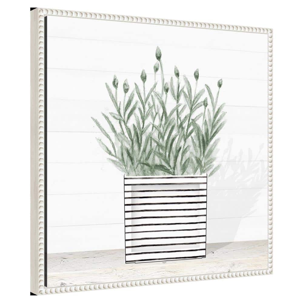 Lavender Blossom in Striped Pot Canvas Wall Art with White Frame