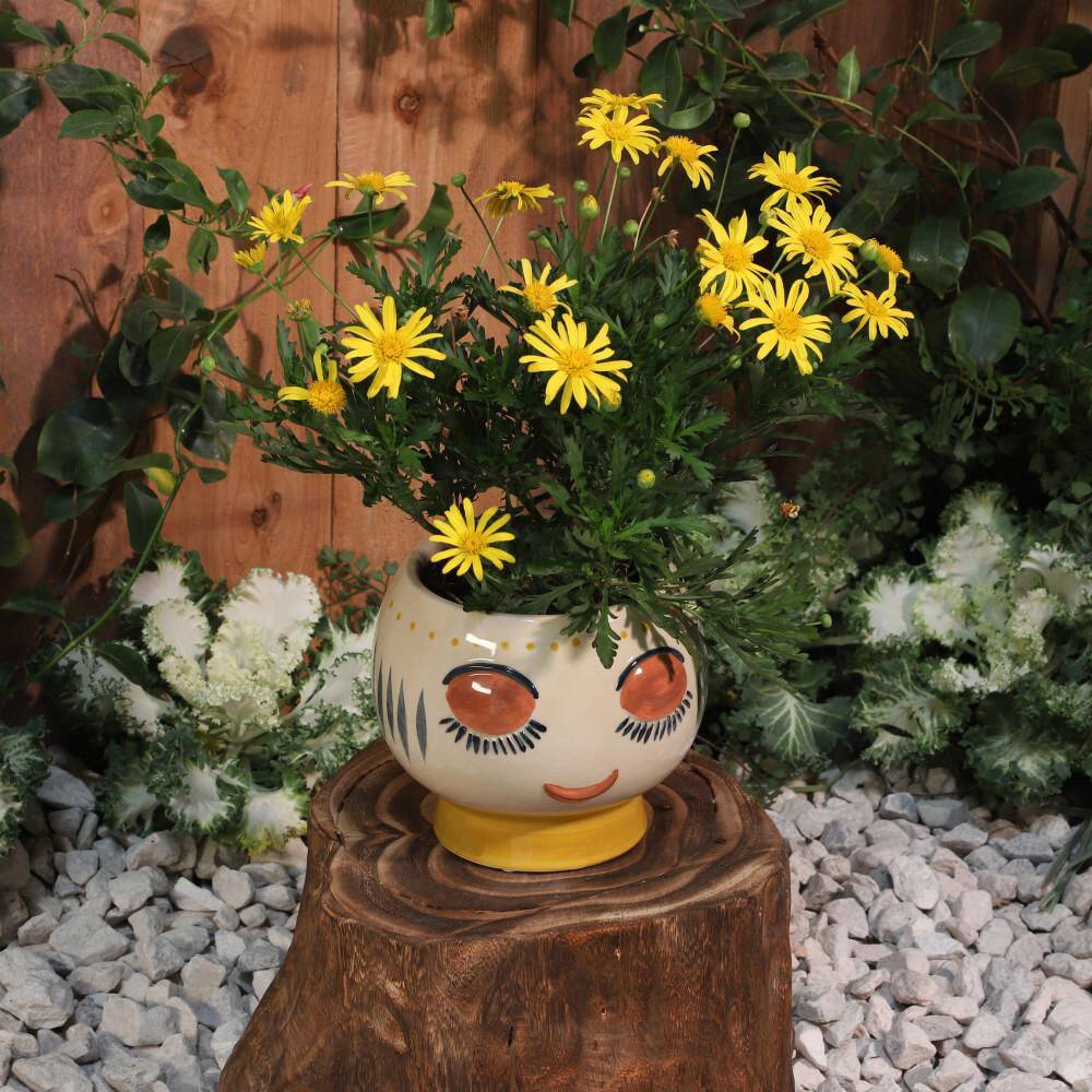 White/Yellow Round Stoneware Face Decorative Planter (7 in. W x 6 in. H) price history on PriceWatchPro