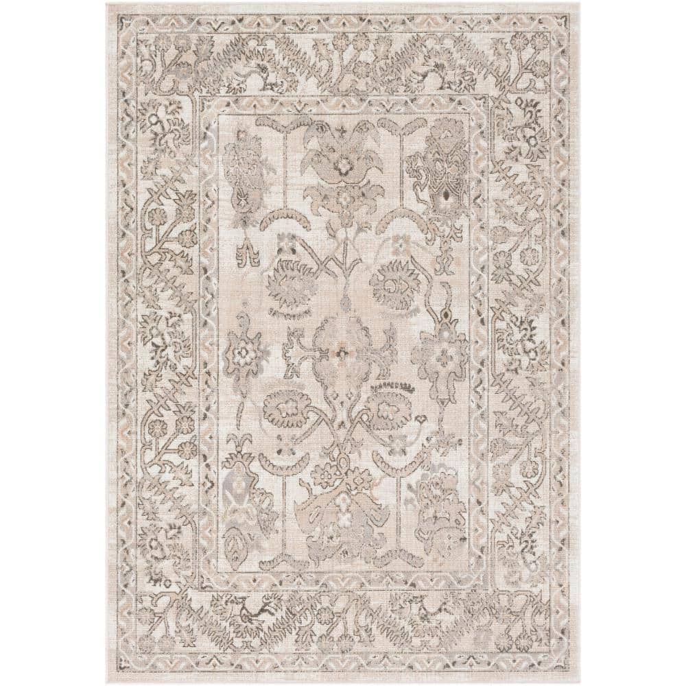 Sina Charcoal 5 ft. x 8 ft. Indoor Area Rug price history on PriceWatchPro
