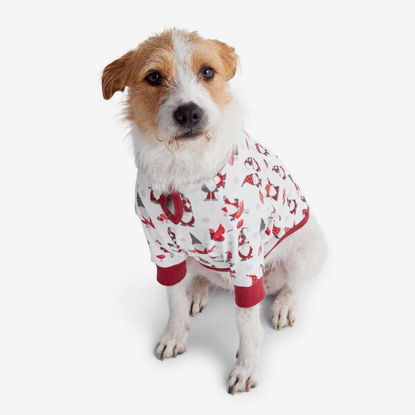 white company dog jumper