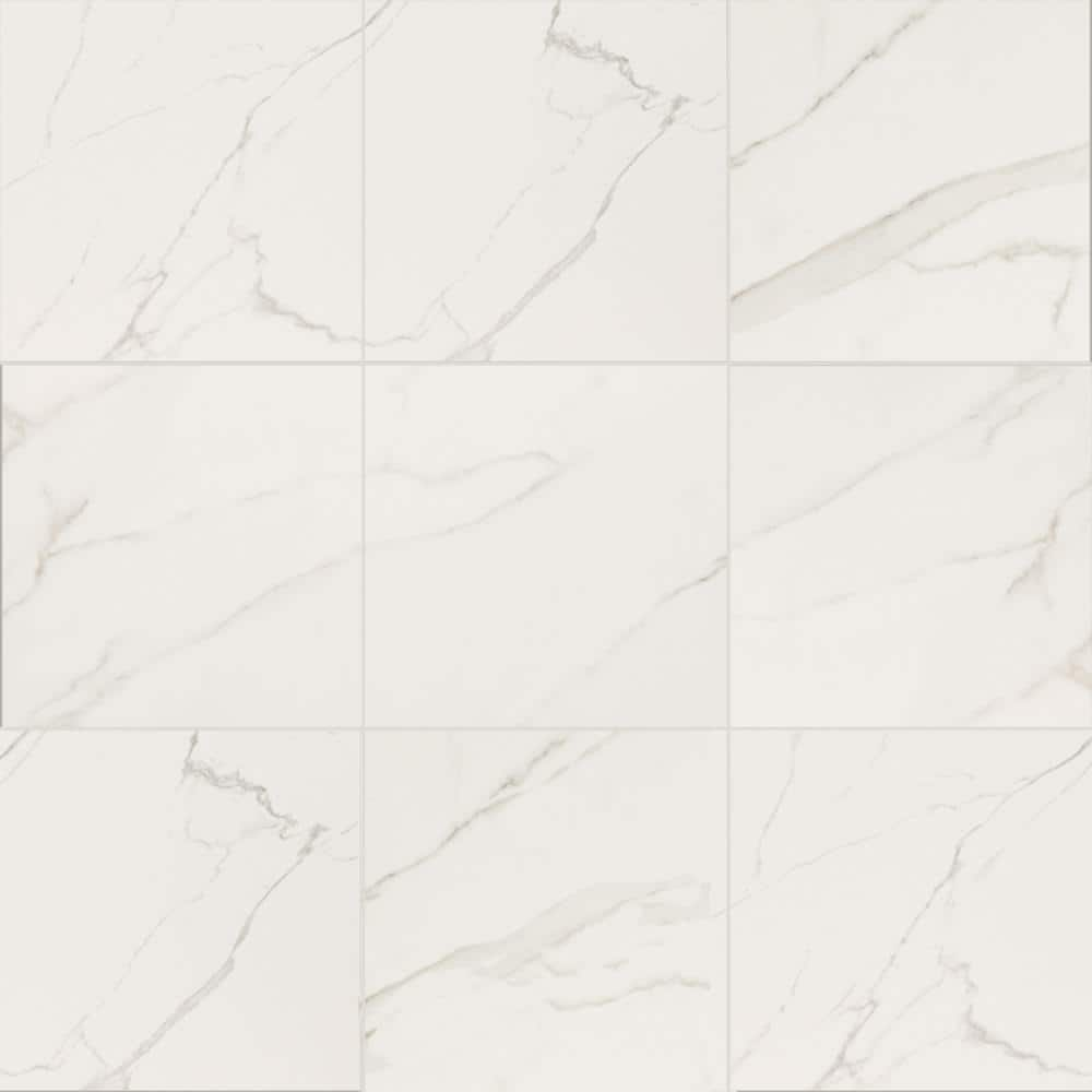 MSI Leonardo Venato 24 in. x 24 in. Polished Porcelain Floor and Wall ...