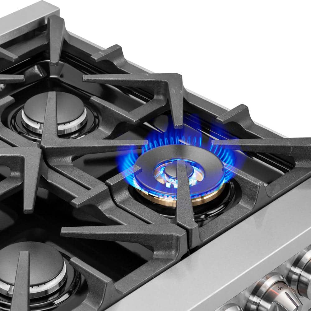 Massimo 48-inch Stainless Steel Dual Fuel Range with 8 Burners