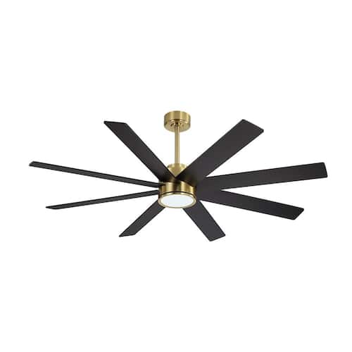 72 in. 8-Plywood Blades Indoor Gold and Black LED Ceiling Fan with Remote Lighting