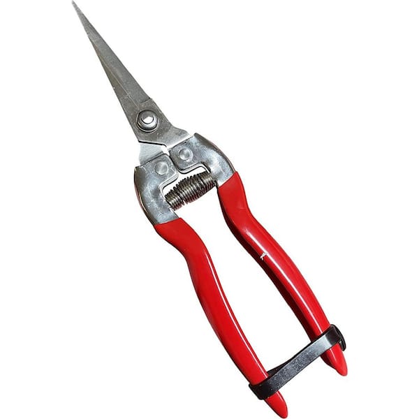 Garden Guru Straight Stainless Steel Pruner Pruning Shears Clippers Snips