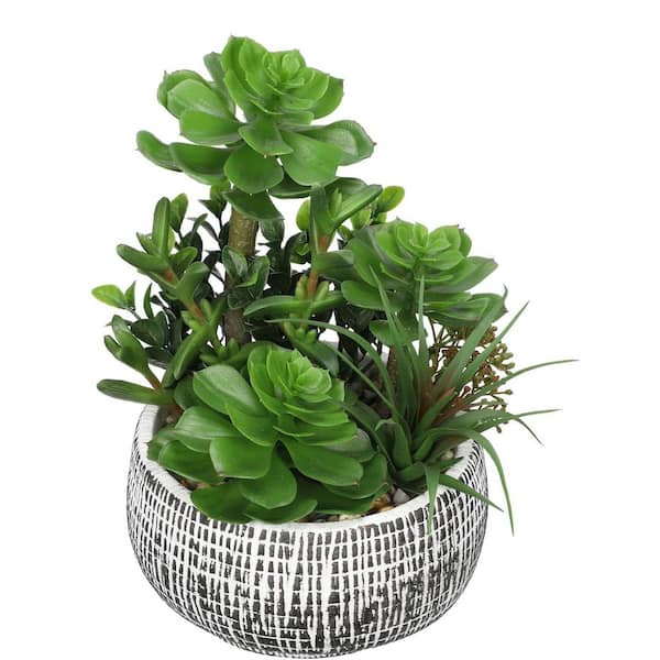 pentas flower seeds Beehive™ Lilac Pentas Seeds main image 0