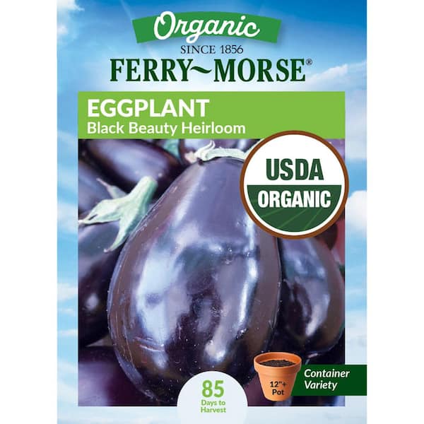Organic Eggplant Black Beauty Heirloom Fruit Seeds