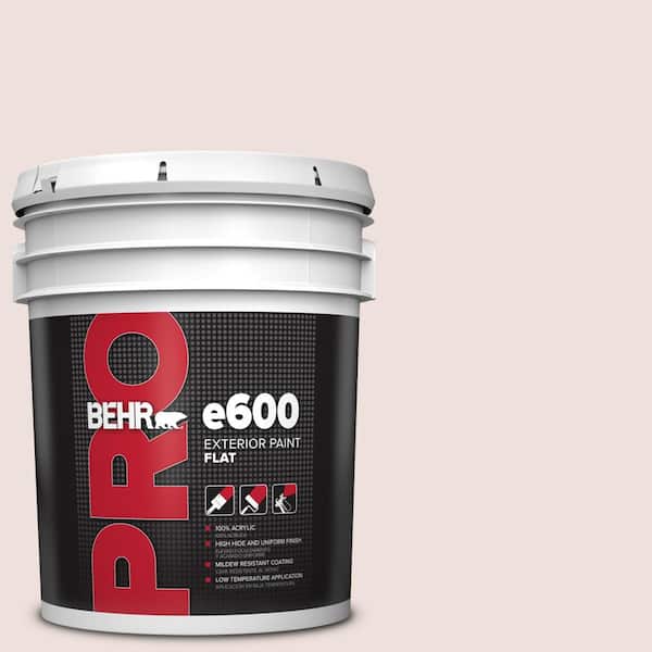BEHR PRO 5 gal. #160E-1 Milady Flat Exterior Paint
