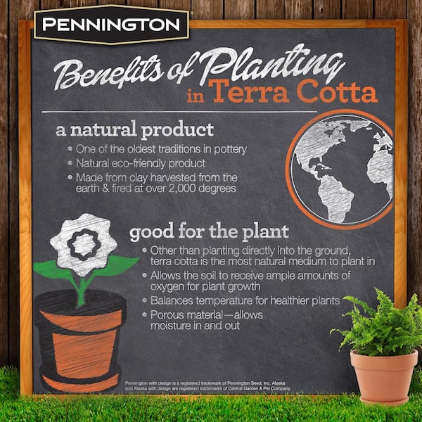 https://images.thdstatic.com/productImages/b09a7cb8-4c89-4856-bcbd-67a024c32393/svn/terra-cotta-pennington-plant-pots-100528519-31_600.jpg