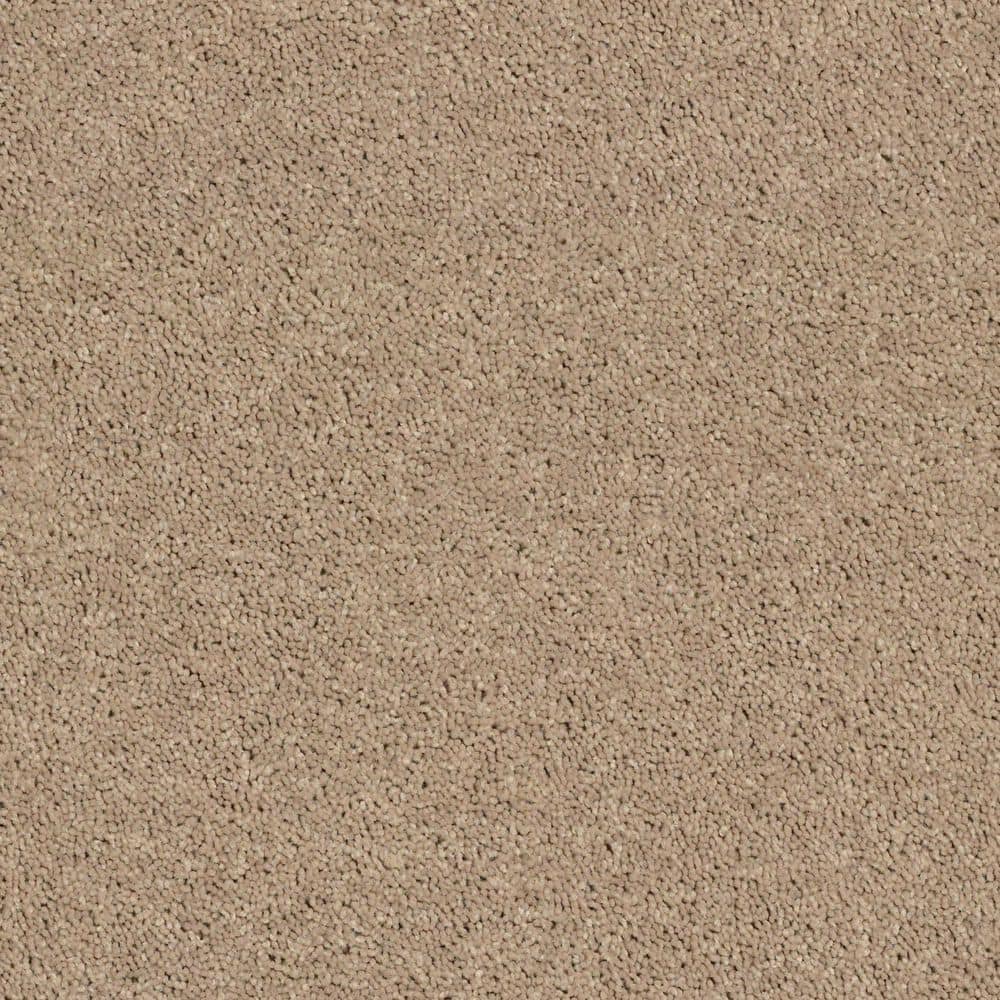 8 in. x 8 in. Texture Carpet Sample - Cottage Comforts - Color Bisque price history on PriceWatchPro