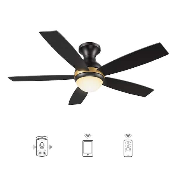 CARRO Fannin 52 in. Dimmable LED Indoor/Outdoor Black Smart Ceiling Fan with Light and Remote, Works with Alexa/Google Home