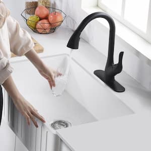 Accent Series Single-Handle Pull-Down Sprayer Kitchen Faucet in Matte Black