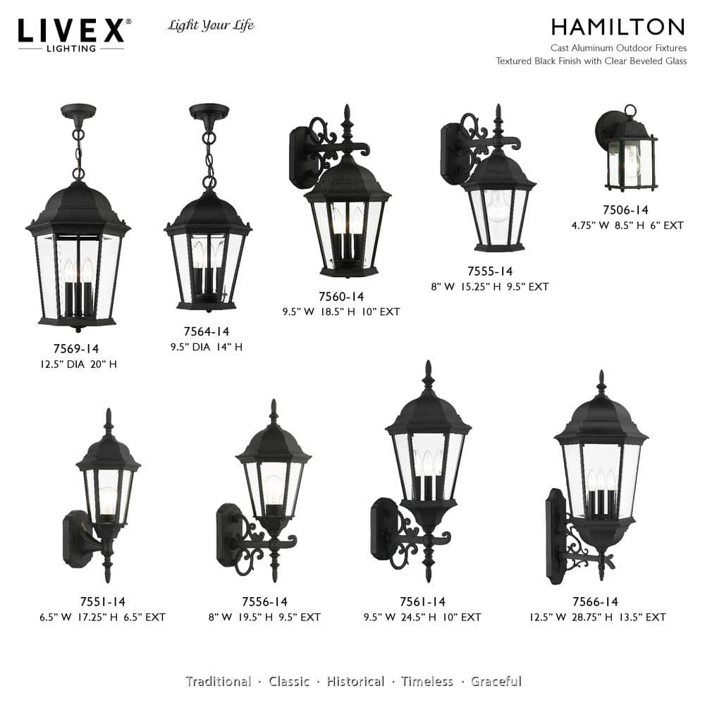 Hamilton Textured Black 3-Light Outdoor Pendant with Clear Beveled Glass
