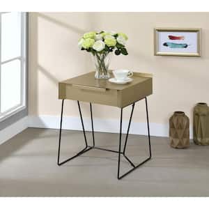 Brunswik 17.75 in. Champagne Rectangle Wood Side Table with 1-Drawer