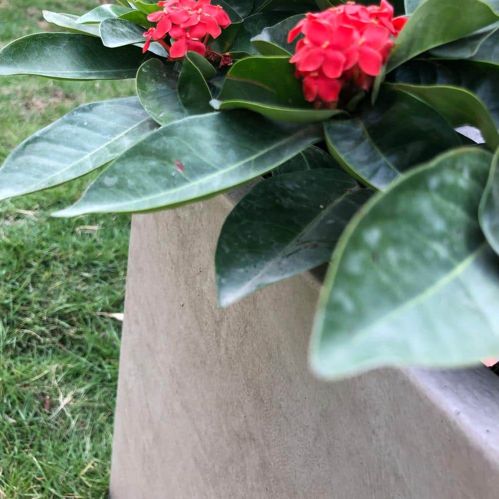 Large Gray Concrete Rectangular Indoor/Outdoor Planter with Drainage Holes