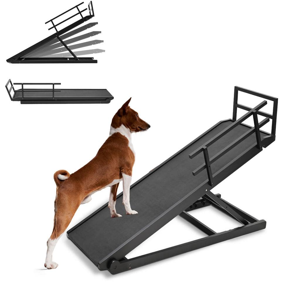 BOZTIY 5-Adjustable Height Dog Ramp Folding Pet Ramp Dog Ramp for Small ...