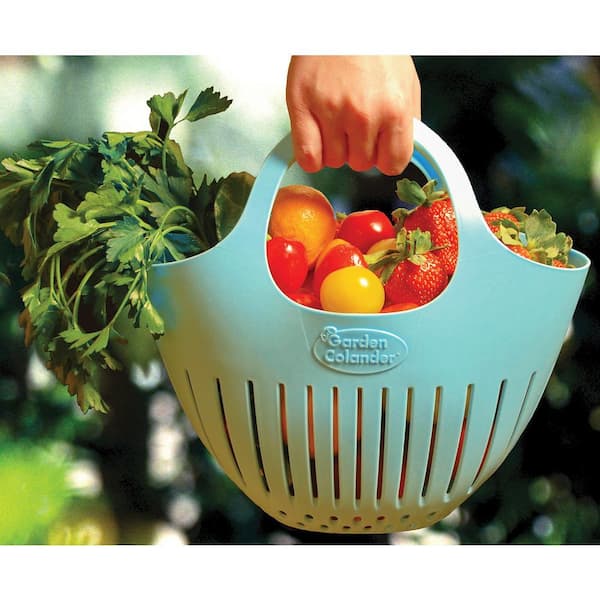 Hutzler Green Mini Garden Colander Harvest Basket (2-Pack) 3779
