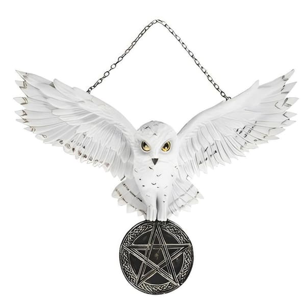 10.5 in. W Snow Owl Wall Decor
