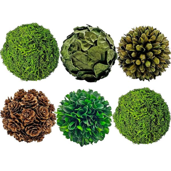 Green Brown Decorative Non Artificial Natural Preserved Topiary Balls Orbs Bowl Vase Filler (Set of 6)
