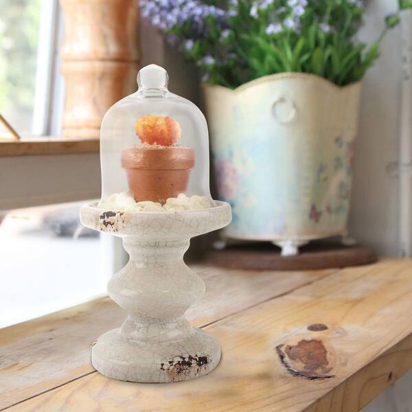 Stonebriar Collection 5 in. x 10 in. Worn White Ceramic and Glass Pedestal with Cloche